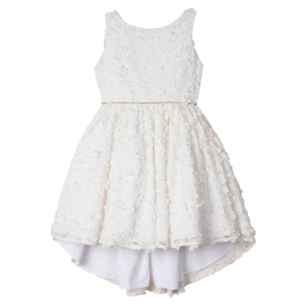 Badgley Mischka Flower Girl 3D Floral Lace High Low Dress - Picture 1 of 10